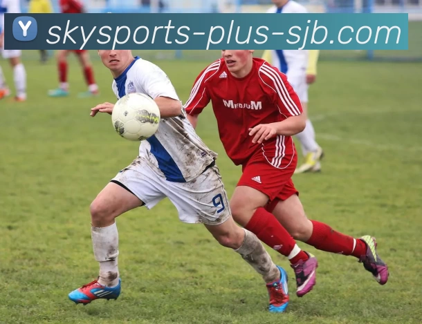 Sky Sports，Sky Sports官网，Sky Sports入口，Sky Sports直播，Sky Sports体育品牌故事